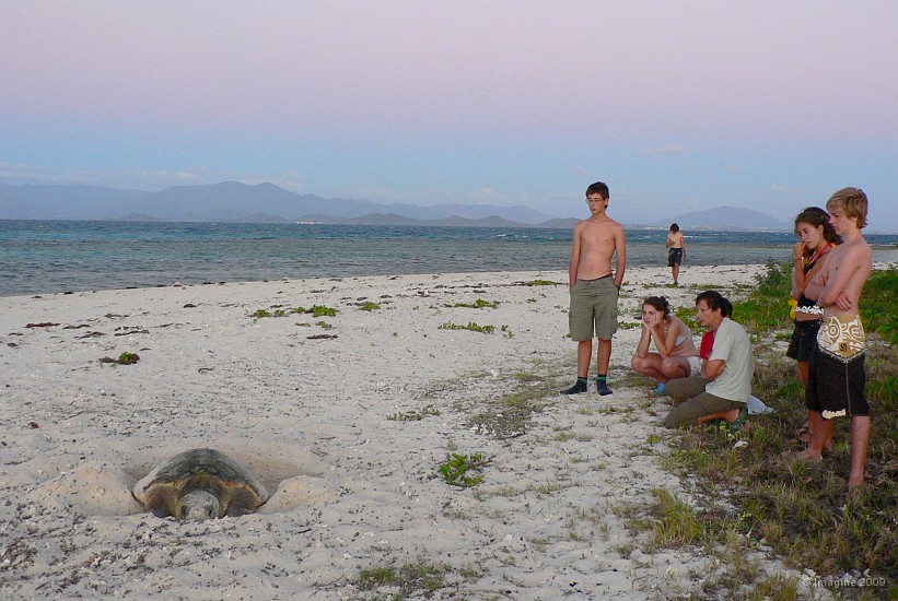 63- Les spectateurs silencieux regardent pondre la tortue.JPG
